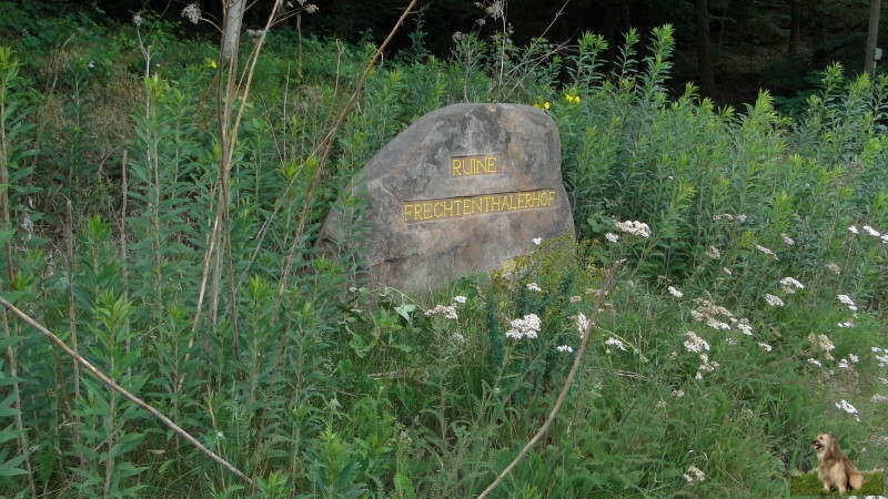 Ritterstein Nr. 275-3a Ruine Frechenthalerhof.JPG - Ritterstein Nr.275 Ruine Frechenthalerhof